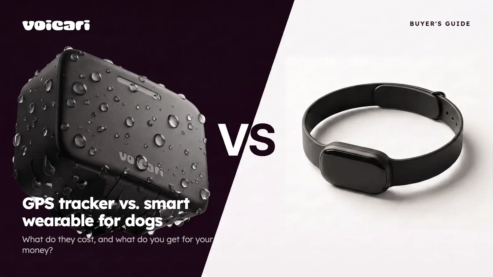 GPS-Tracker vs. Smart Wearable für Hunde: Was kosten sie und was bekommst du für dein Geld?