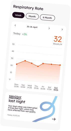 Respiratory Rate breakdown shown in the Voicari app