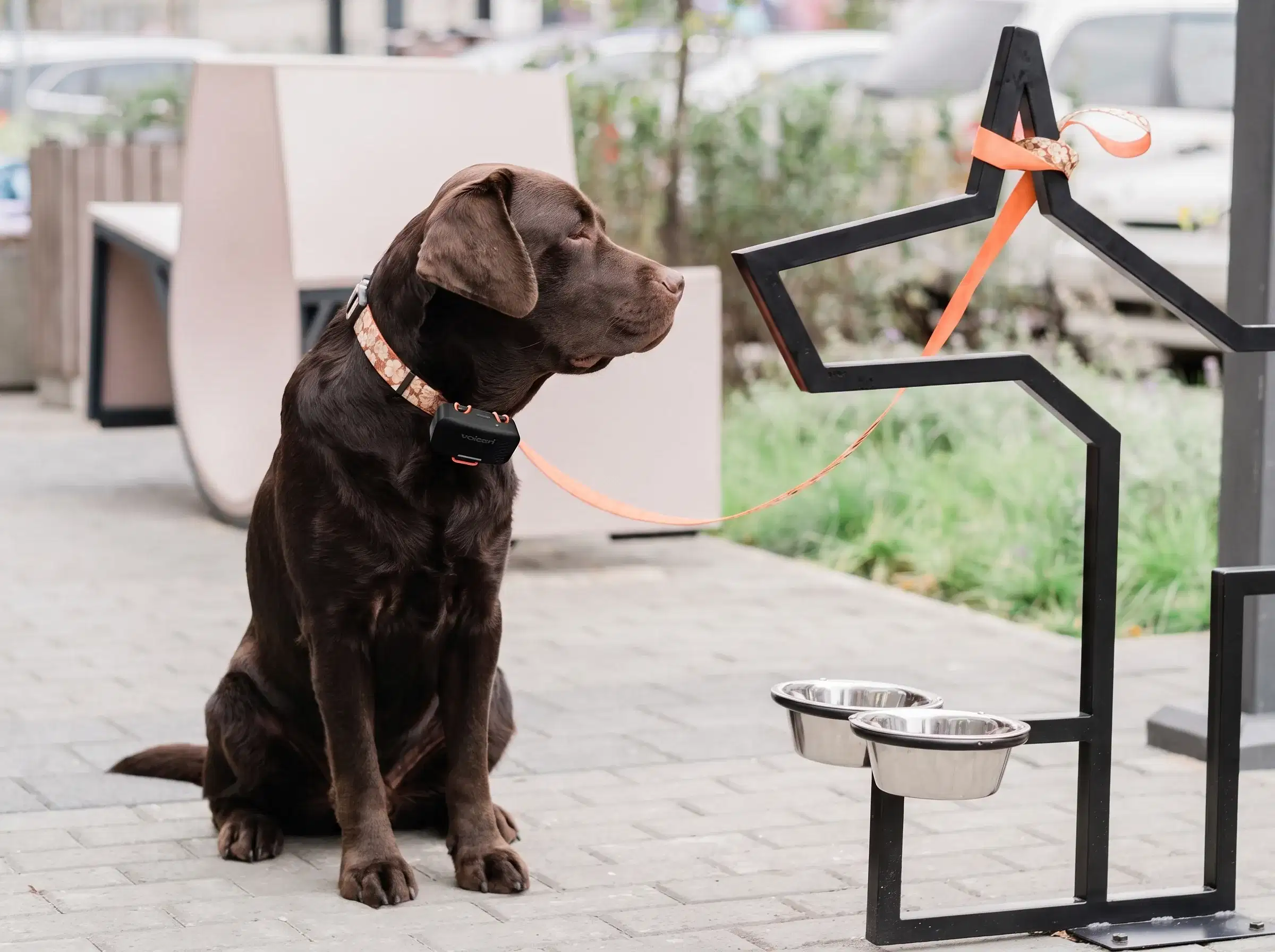 Voicari Bark Pro+ smart collar