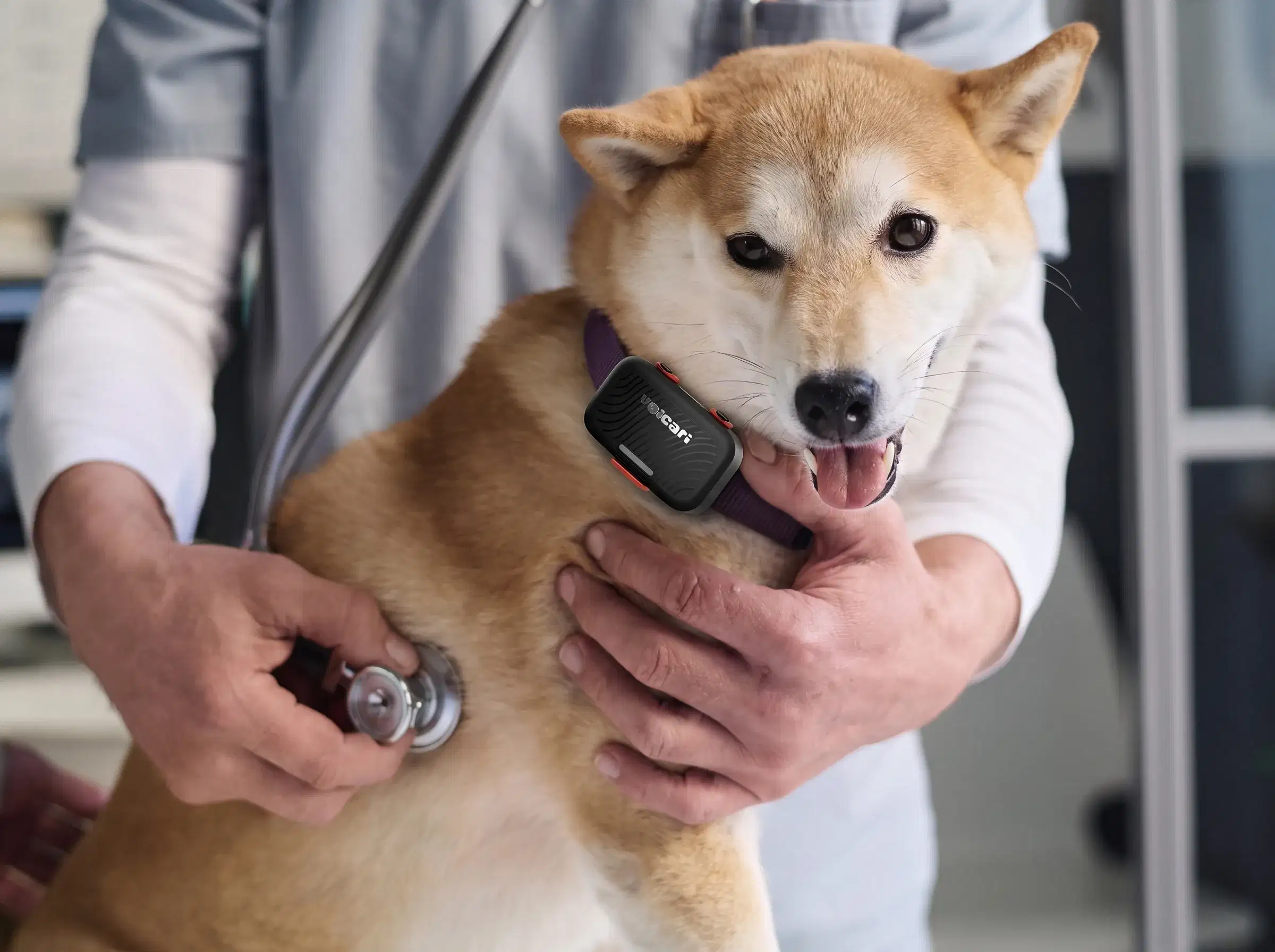 Voicari Bark Pro+ smart collar